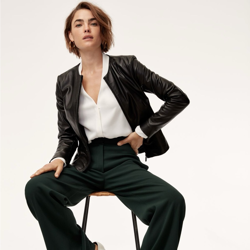 Aritzia Babaton Jett Leather Jacket